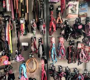 étalage de laisses.