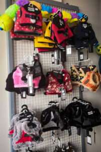 collection de harnais et manteaux Milk & Pepper