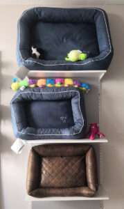 collection de paniers pour chiens.